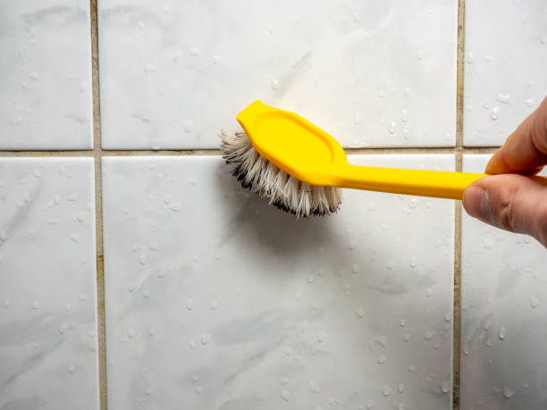 Best Local Mold Removal Service  in Dutch Island, GA